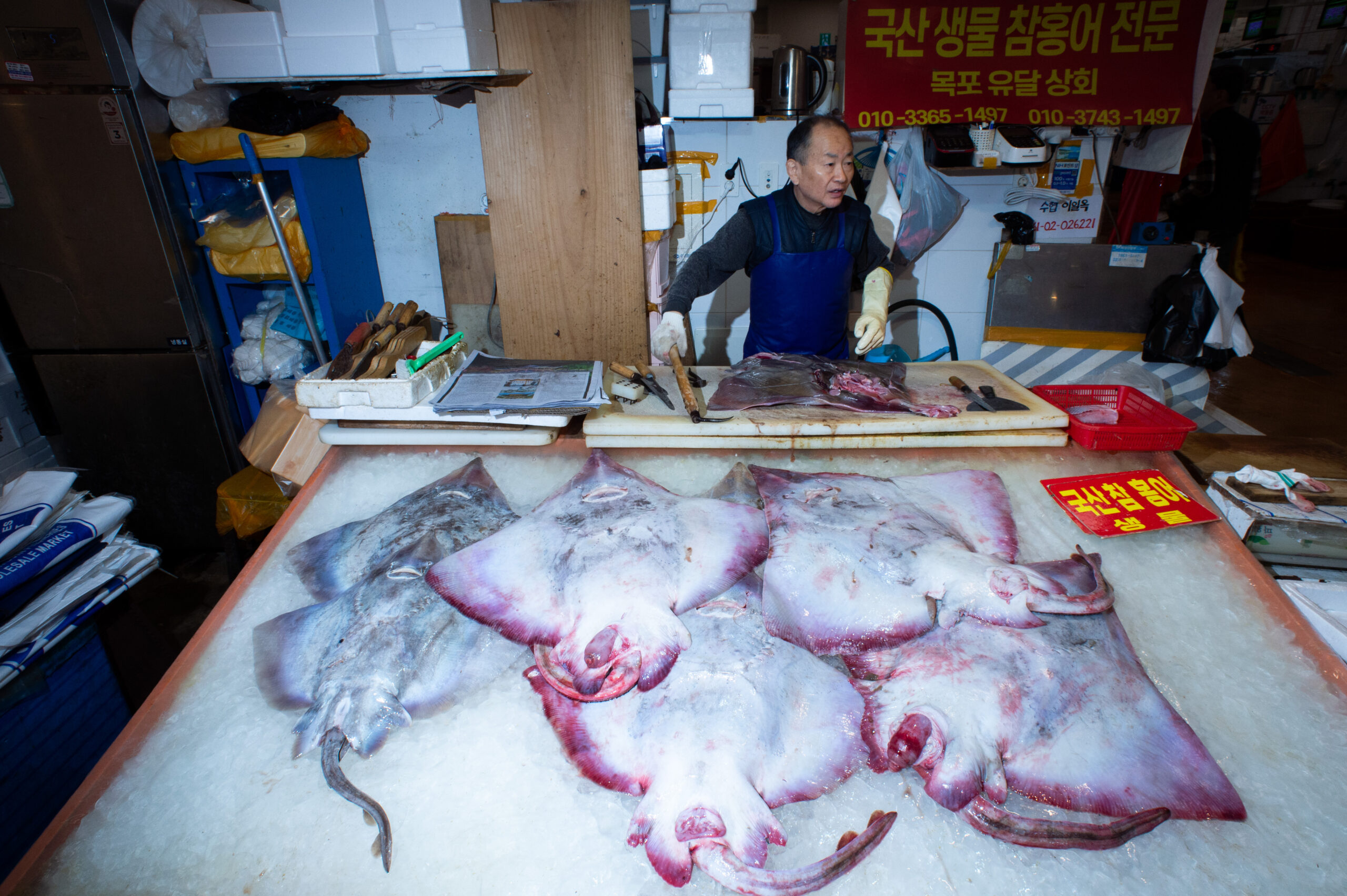 South Korea NIK 4319 Scaled