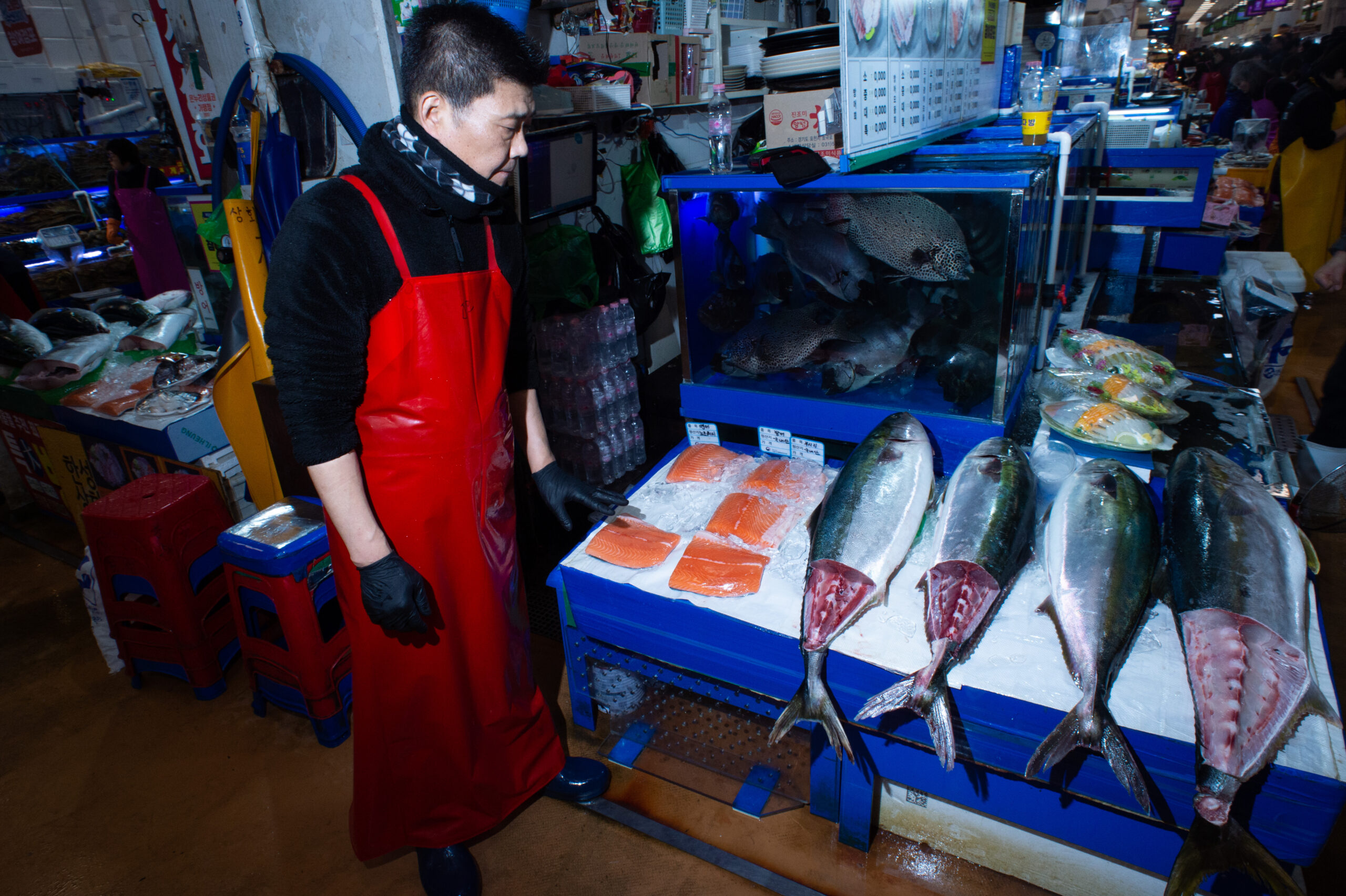 South Korea NIK 4330 Scaled