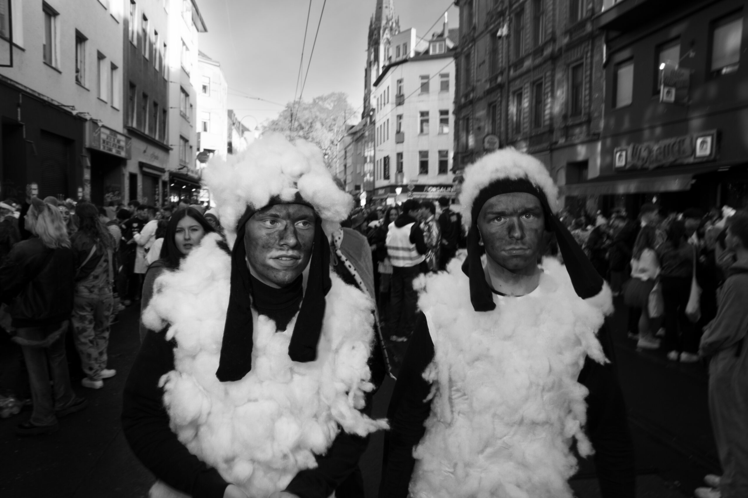 Karneval NIK 3678 Scaled