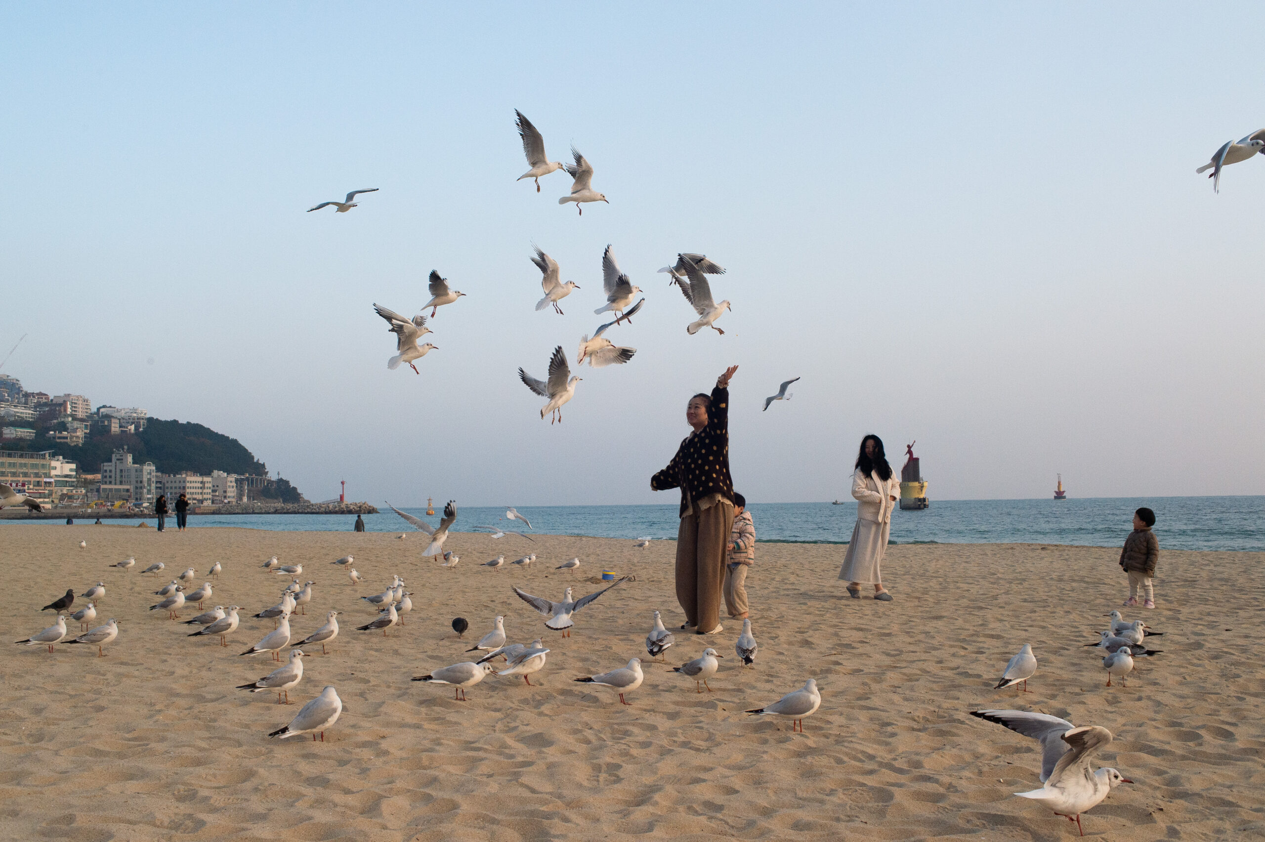 South Korea NIK 5377 Scaled